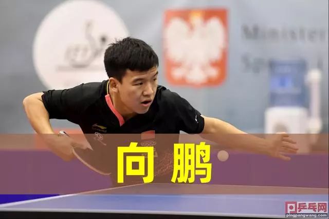 众多球员将 众多球员将