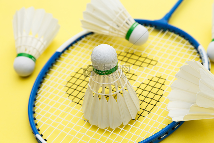 马龙的故事 马龙的故事