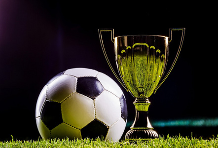 韧性帮助球 韧性帮助球