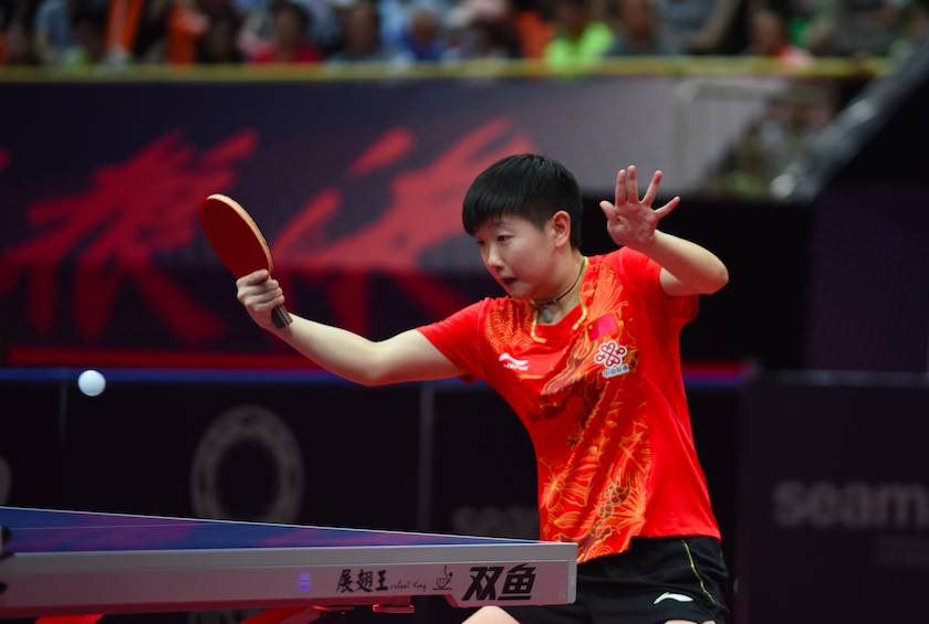 体系的成人 体系的成人